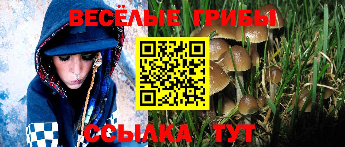 Галлюциногенные грибы Magic Shrooms  как найти наркотики  Вход с VPN  Алексеевка  Галлюциногенные грибы Psilocybine cubensis 
